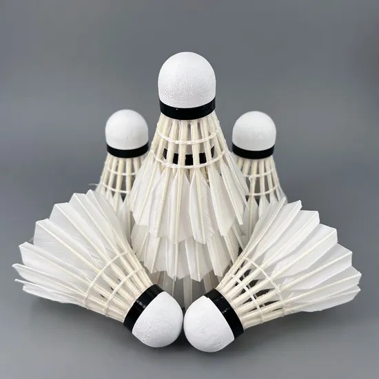 12-Pack Moisture Lock OEM Shuttlecock Tube Packaging