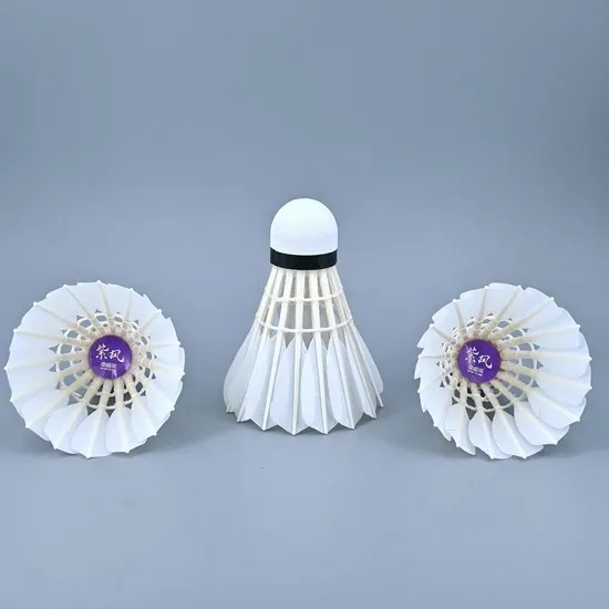 OEM Custom Private Label Tube Design and Low-Wobble Shuttlecocks