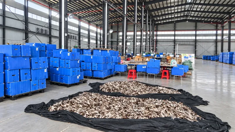 Guangxi Factory (CLUB & MATCH TRAINING) 03